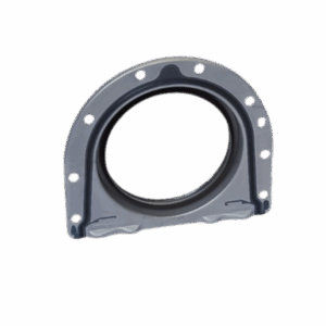 RETEN POSTERIOR DE CIGUEÑAL